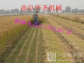 內(nèi)蒙古輪式谷物收割機(jī) 多種型號(hào)滿足谷物種植需求