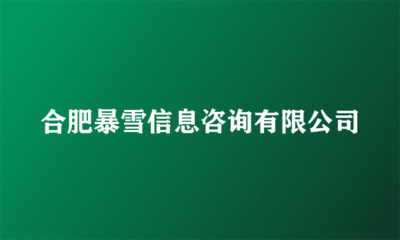 合肥暴雪信息咨詢 金融外包服務(wù)的擔(dān)當(dāng)與合規(guī)運(yùn)營(yíng)之道